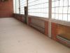 halle022.jpg