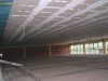 halle495.jpg